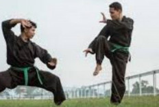 Mengapa Pencak Silat Jarang Digunakan dalam MMA? Ternyata Ini Alasannya!