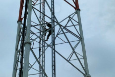 Nekat! Pria Asal Babat Toman Gegerkan Sukarami, Panjat Tower Telekomunikasi Tanpa Sebab Jelas