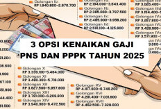 Inilah 3 Opsi Kenaikan Gaji PNS dan PPPK Tahun 2025 Nanti, Presiden Jokowi Bakal Umumkan 16 Agustus
