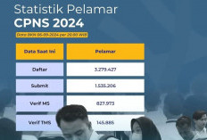 Masih Buka Hingga 10 September, Pendaftar CPNS 2024 Capai 3,2 Juta, 145.885 Pelamar Dinyatakan TMS