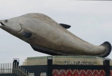 Tugu Ikan Belido, Simbol Ikonik yang Memperkuat Daya Tarik Wisata Benteng Kuto Besak Palembang