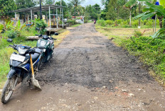 Tak Dibangun Sejak 2004, Warga Banyuasin Perbaiki Jalan Sendiri