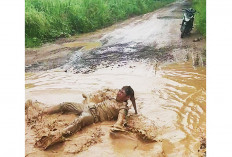 Koleksi Jalan Rusak, Perbaikan Pengujung Tahun saat Musim Hujan, Protes Warga Mandi Lumpur Kubangan Jalan