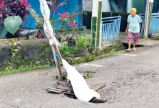 Jalan Lintas Provinsi Ini Nyaris Putus