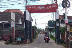 'Gegara' Banyak Pohon Keranji, Sungai di Palembang Berubah jadi Nama Lorong Lebak Keranji, Cek Kisahnya