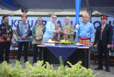 Harganas Ke-33: 'Ayah Wajib Hadir', BKKBN Sumsel Perkuat Peran Ayah Bangun Generasi Emas  