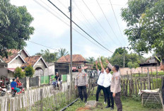   Saat Pasang Tiang Lampu Jalan, Warga Tanjung Laut Tewas Tersengat Listrik 