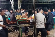 Pelajar Tewas Tertimpa Pohon Tumbang, Saat Mengikuti Kegiatan Pramuka di Sekolahnya