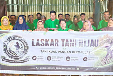 Petani Berperan Jaga Ketersediaan Pangan