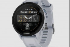 Garmin Forerunner 955: Perangkat Pintar Profesional untuk Pelari Serius
