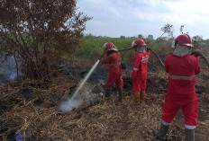 Karhutla di Pangkalan Lampam Berhasil Dipadamkan, Pendinginan Lahan Gambut di Sungai Sibur Terus Berlanjut