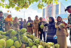 Ada Kampung Berkelir Hingga Kampung Digital, Hari Ketiga Tinjau 4 Kampung Sekaligus