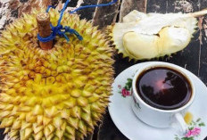  Kopi Campur Durian Bisa Dongkrak Gairah dan Stamina Lelaki, Benarkah? Bahayakah, Yuk Cek Faktanya