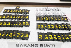 Waspadai Jenis Baru Narkoba, Vape Etomidate hingga Ganja Sintetis