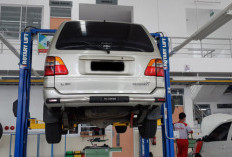 Mengejutkan! 100 Ribu Lebih Kendaraan Listrik Sudah Beredar, Indonesia Siap Berubah