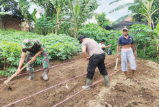 Dorong Ketahanan Pangan Warga Tanjung Enim