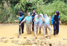 Perbaikan Terkendala Status Kawasan Hutan, Akses Jalan Desa Rusak, Hambat Mobilitas Warga