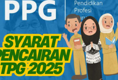 TPG 1,9 Juta Guru Langsung Ditransfer Rekening: Lulusan PPG Piloting Siapkan Syarat Berikut Ya!