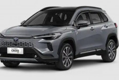 7 SUV Kompak 2025: Desain Modern, Fitur Canggih, dan Kenyamanan Tanpa Tanding