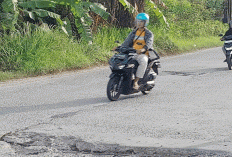 Kurangi Kecepatan, Hindari Rem Mendadak