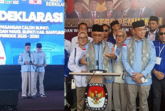 Selfi Resmi Maju Pilkada Banyuasin 2024, Usung Harapan Baru dengan 11 Program Prioritas, Apa Saja?