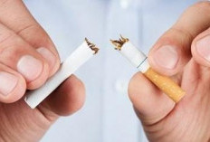 Berhenti Merokok: Langkah-Langkah Efektif Untuk Pencandu Rokok Agar Berhenti