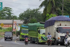 Tak Indahkan Kesepakatan, Ratusan Angkutan Batubara Diberhentikan Paksa