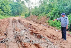 Prioritaskan Perbaikan Jalan Tulung Selapan, Dapat Bangub Rp30 M