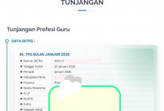 PENGUMUMAN: SKTP Sudah Terbit, Ini Tanda Guru Serdik Segera Terima TPG 2026