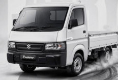 Suzuki Carry Pick Up Mei 2026: Tetap Jadi Andalan UMKM di Tengah Gempuran Rival Baru