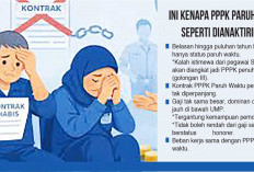  Beban Kerja Sama, PPPK Paruh Waktu Merasa Dianaktirikan, Dominan Gaji di Bawah UMP