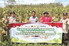 Jadi Sumber Penghasilan, Topang Kebutuhan Pangan