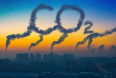 5 Dampak Emisi Karbon yang Berbahaya bagi Kita
