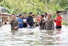 Ratusan Rumah Warga Kebanjiran, Tersebar pada 7 Wilayah Kecamatan Banjir di Ogan Ilir