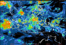 BMKG Sebut Juli 2024 Indonesia Berpotensi Alami Kekeringan Meteorologis