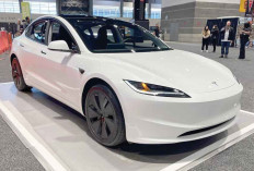 New Tesla Jajal Pasar RI, Mobil Listrik dengan Kecepatan Tinggi