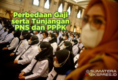 Perbedaan Gaji dan Tunjangan antara PNS dan PPPK, Tahun 2025 Bakal Naik