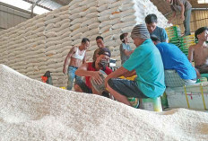 Stok Beras OKU Raya Sangat Aman, Cukup hingga Akhir 2025 