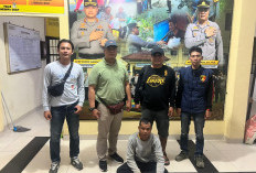Mardiansyah, Buronan Penggelapan Uang Perusahaan Ditangkap di Persembunyian