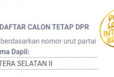 Sengit! Berikut Daftar Nama Caleg DPR RI Dari Dapil Sumsel 2