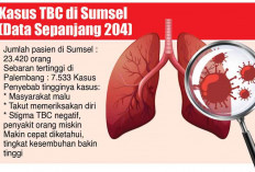 Penularan TBC Masih Tinggi,  2024 Tercatat 23.420 Pasien di Sumsel, Sebaran Terbanyak di Palembang 7.533 Kasus