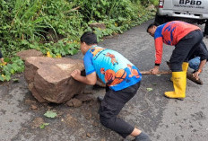 Batu Besar Tutupi Jalan Lintas Empat Lawang-Bengkulu, BPBD Bergerak Cepat