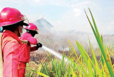 Mulai Sulit Sumber Air, Satgas Karhutla Ogan Ilir Lakukan Pemadaman di 3 Lokasi