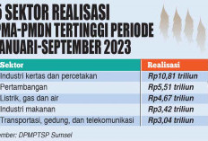 Investasi Sumsel Tercapai Rp36,8 Triliun, Proyek Pelabuhan Tanjung Carat Jadi Harapan