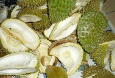 Siapa Sangka, Kulit Durian Ternyata Punya Segudang Khasiat untuk Tubuh!