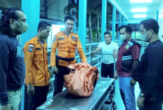 Nelayan Temukan Jasad Bayi Mengapung, Ari-Ari Masih Menempel di Pusar