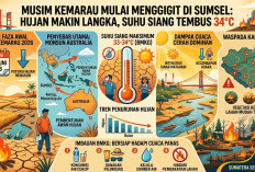 Musim Kemarau Mulai Menggigit, Hujan di Sumsel Kian Langka dan Suhu Siang Tembus 34 Derajat