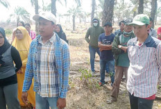 Warga Sodong Sebut 298 Hektar Lahan Plasma Diserobot PT SWA
