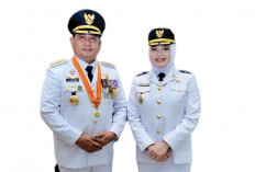 Banyuasin Lumbung Pangan Indonesia, Produksi Padi Nomor 2 Di Indonesia