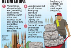 Produk Karet Harus Bebas Deforestasi, Uni Eropa Terapkan Regulasi Wajib